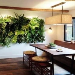 Indoor Garden Green Wall Pack - Indoors 16 Indoor Garden Green Wall Pack - Indoors