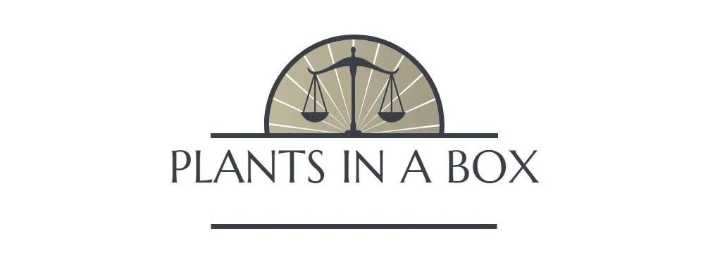 Outlet Plants in a box Store