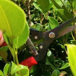 Gifts Long Nose Snips