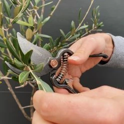 Outdoor Accessories Barebones - Metal Pruner With Sheath 14 Outdoor Accessories Barebones - Metal Pruner With Sheath