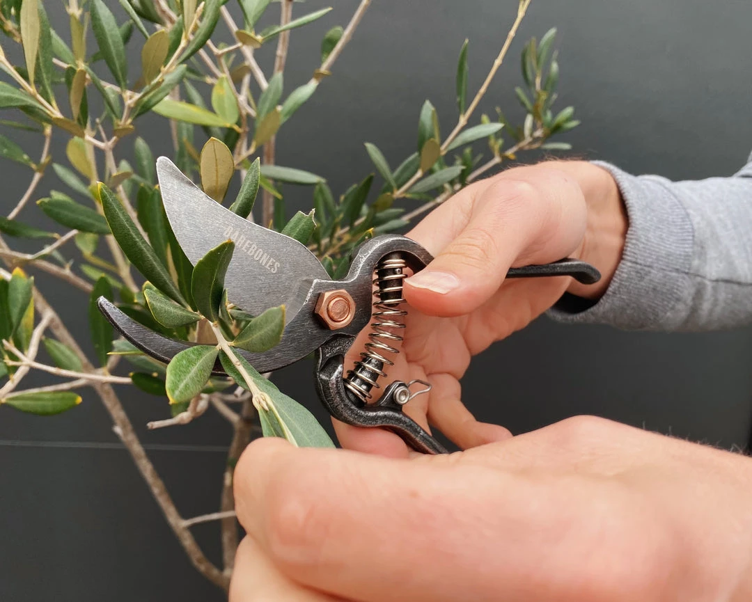 Outdoor Accessories Barebones - Metal Pruner With Sheath 5 Outdoor Accessories Barebones - Metal Pruner With Sheath