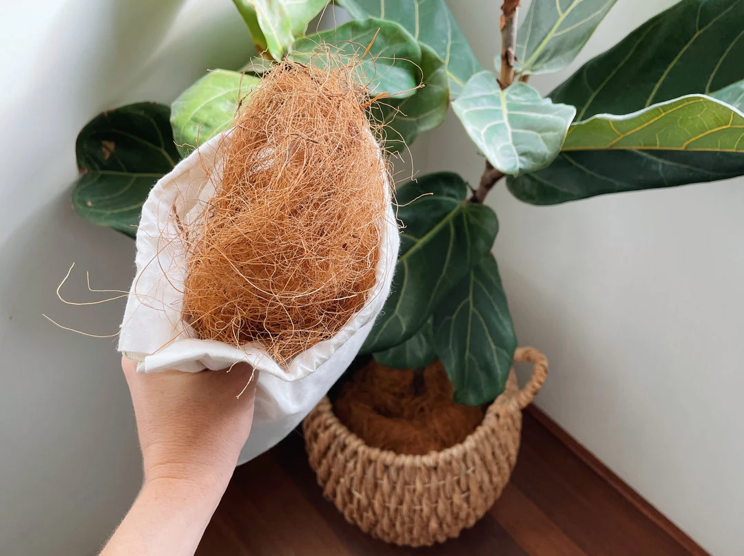 Plants In A Box Outdoor Accessories Coconut Coir (loose Bag) 4 Plants In A Box Outdoor Accessories Coconut Coir (loose Bag)