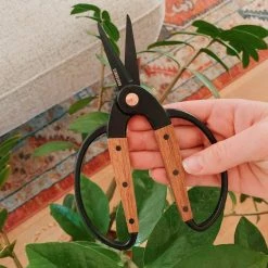 Secateurs Barebones - Small Scissors 19 Secateurs Barebones - Small Scissors