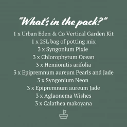 Indoor Garden Gift Kits Greenwall Kit - Includes Plants