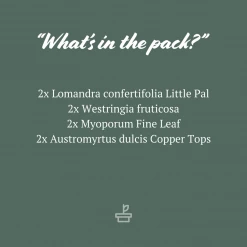 Shrubs Drought Tolerant Plant Pack