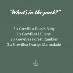 Shrubs Assorted Grevillea Plant Pack