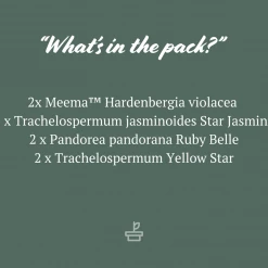 Shrubs Assorted Pack Of Outdoor Climbing Plants