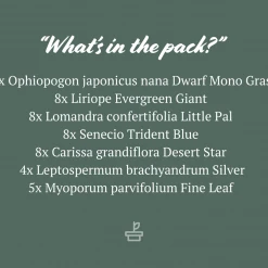 Shrubs A Full Sun - Totally Minimal Effort Garden Pack