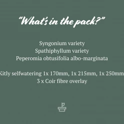 Indoor Garden Mr Kitly 3 Plants & 3 Assorted Sized Pots Plant Packs