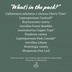 Shrubs Birds And Bees ๐ Australian Native Plant Pack 19 Shrubs Birds And Bees ???? Australian Native Plant Pack