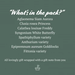 Indoor Garden Plant Packs A Giftbox Of Houseplants???? - Includes Gift Wrapping