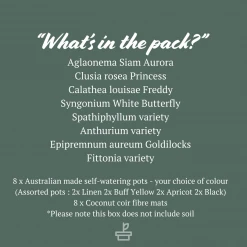 Indoor Garden Mr Kitly 8 Houseplants & 8 Pots