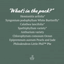 Indoor Garden Green Wall Pack - Indoors 18 Indoor Garden Green Wall Pack - Indoors