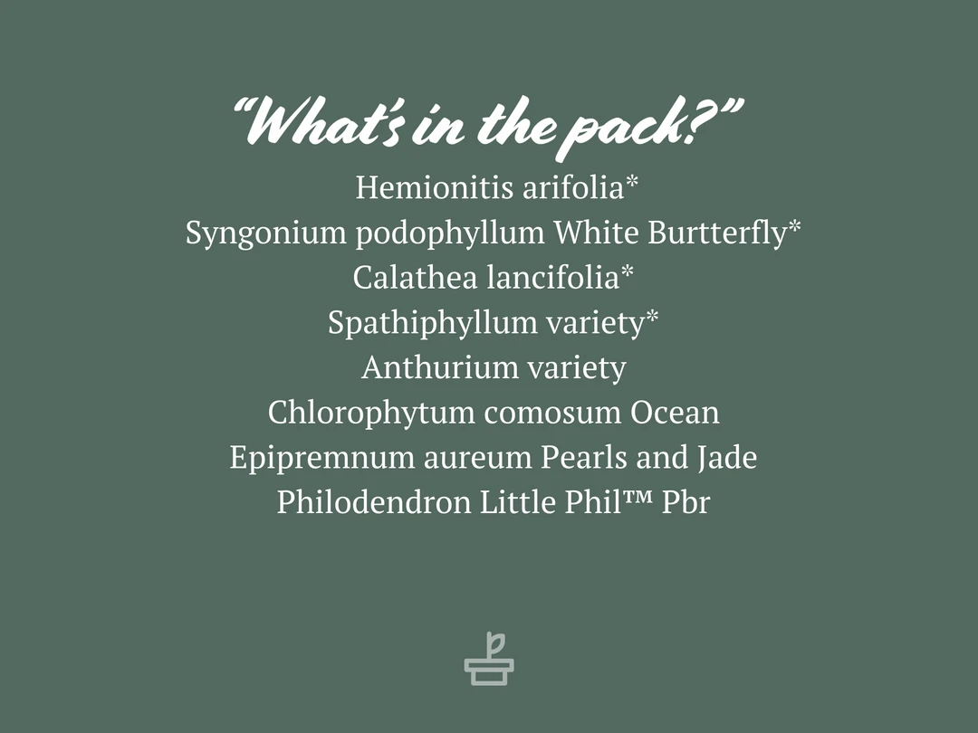 Indoor Garden Green Wall Pack - Indoors 6 Indoor Garden Green Wall Pack - Indoors