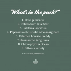 Indoor Garden Pet-Friendly Indoor Plant Pack 😀 19 Indoor Garden Pet-Friendly Indoor Plant Pack ????