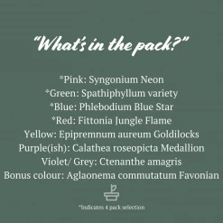 Indoor Garden Air Purifying Rainbow 🔔 Box - Indoor 18 Indoor Garden Air Purifying Rainbow ???? Box - Indoor