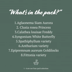 Indoor Garden Easy Care Plants Assorted Pack Of Houseplants ???? *Pick Your Own