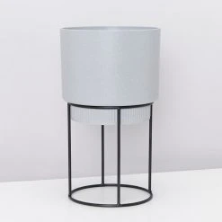 Elho Eco Stand + Plant + Pot (includes Coir)