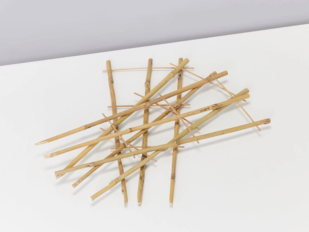 Fernland Bamboo Plant Trainer Plant Stakes & Stands 7 Fernland Bamboo Plant Trainer Plant Stakes & Stands