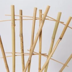 Fernland Bamboo Plant Trainer Plant Stakes & Stands 10 Fernland Bamboo Plant Trainer Plant Stakes & Stands