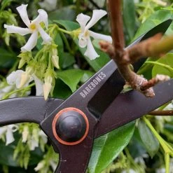 Barebones - Artisan Pruning Shears