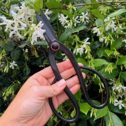 Barebones - Artisan Pruning Shears