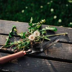 Barebones Weeding Fork Outdoor Accessories