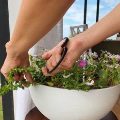 Secateurs Barebones - Small Scissors 15 Secateurs Barebones - Small Scissors