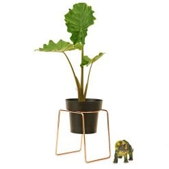 Bendo 'BUD' Plant Stand