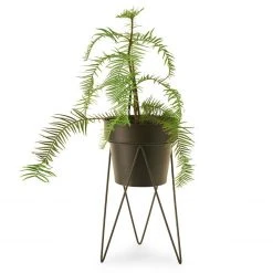 Bendo Plant Stakes & Stands 'PLANT' Indoor Plant Stand & Medium Pot Bundle 23 Bendo Plant Stakes & Stands 'PLANT' Indoor Plant Stand & Medium Pot Bundle