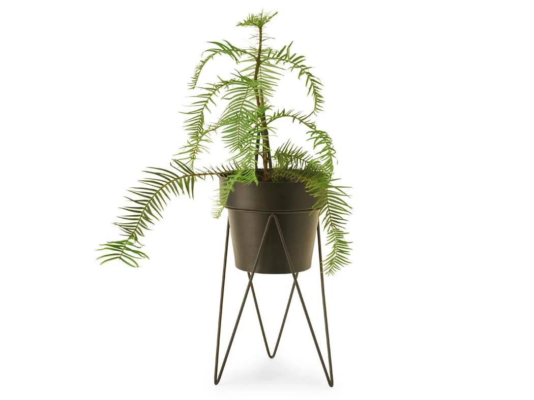 Bendo Plant Stakes & Stands 'PLANT' Indoor Plant Stand & Medium Pot Bundle 11 Bendo Plant Stakes & Stands 'PLANT' Indoor Plant Stand & Medium Pot Bundle