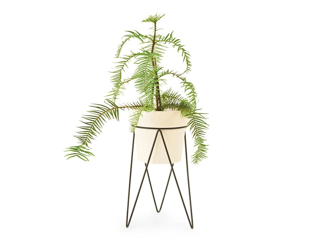 Bendo Plant Stakes & Stands 'PLANT' Indoor Plant Stand & Medium Pot Bundle 12 Bendo Plant Stakes & Stands 'PLANT' Indoor Plant Stand & Medium Pot Bundle