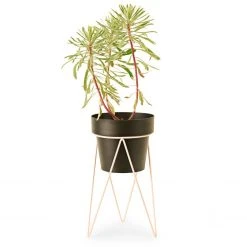 Bendo Plant Stakes & Stands 'PLANT' Indoor Plant Stand & Medium Pot Bundle 21 Bendo Plant Stakes & Stands 'PLANT' Indoor Plant Stand & Medium Pot Bundle
