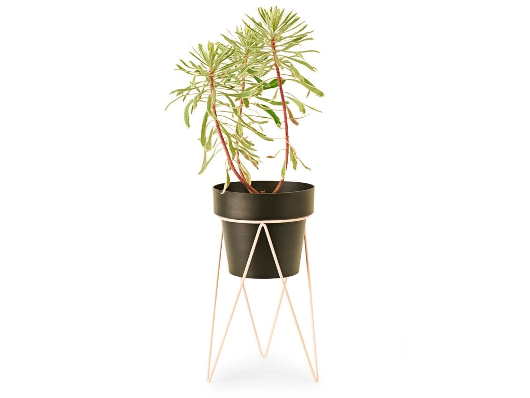 Bendo Plant Stakes & Stands 'PLANT' Indoor Plant Stand & Medium Pot Bundle 9 Bendo Plant Stakes & Stands 'PLANT' Indoor Plant Stand & Medium Pot Bundle