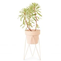 Bendo Plant Stakes & Stands 'PLANT' Indoor Plant Stand & Medium Pot Bundle 18 Bendo Plant Stakes & Stands 'PLANT' Indoor Plant Stand & Medium Pot Bundle