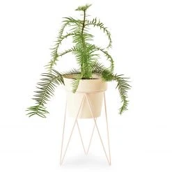 Bendo Plant Stakes & Stands 'PLANT' Indoor Plant Stand & Medium Pot Bundle 27 Bendo Plant Stakes & Stands 'PLANT' Indoor Plant Stand & Medium Pot Bundle