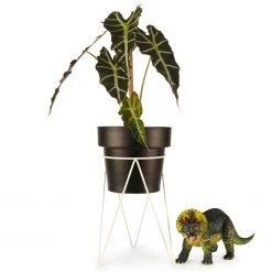 Bendo Plant Stakes & Stands 'PLANT' Indoor Plant Stand & Medium Pot Bundle 22 Bendo Plant Stakes & Stands 'PLANT' Indoor Plant Stand & Medium Pot Bundle