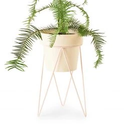 Bendo 'PLANT' Indoor Plant Stand Pots & Hanging Baskets 9 Bendo 'PLANT' Indoor Plant Stand Pots & Hanging Baskets