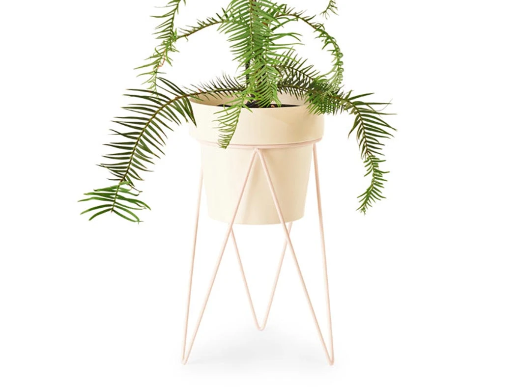 Bendo 'PLANT' Indoor Plant Stand Pots & Hanging Baskets 6 Bendo 'PLANT' Indoor Plant Stand Pots & Hanging Baskets