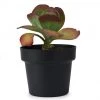 Bendo 'POT' Medium Indoor Plant Pot Pots & Hanging Baskets
