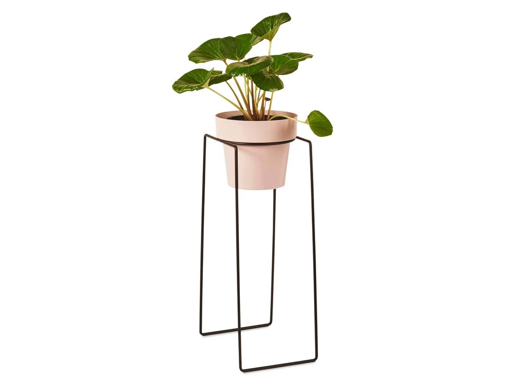 Bendo Plant Stakes & Stands 'TALL' Indoor Plant Stand & Medium Pot Bundle 6 Bendo Plant Stakes & Stands 'TALL' Indoor Plant Stand & Medium Pot Bundle