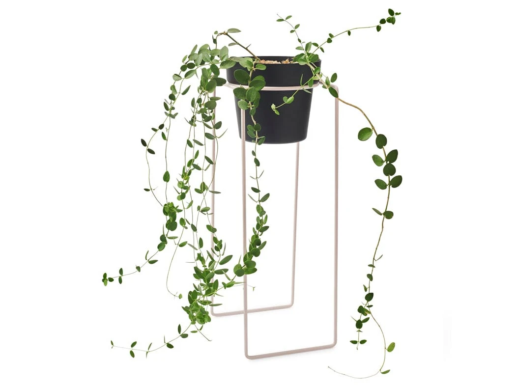 Bendo Plant Stakes & Stands 'TALL' Indoor Plant Stand & Medium Pot Bundle 4 Bendo Plant Stakes & Stands 'TALL' Indoor Plant Stand & Medium Pot Bundle