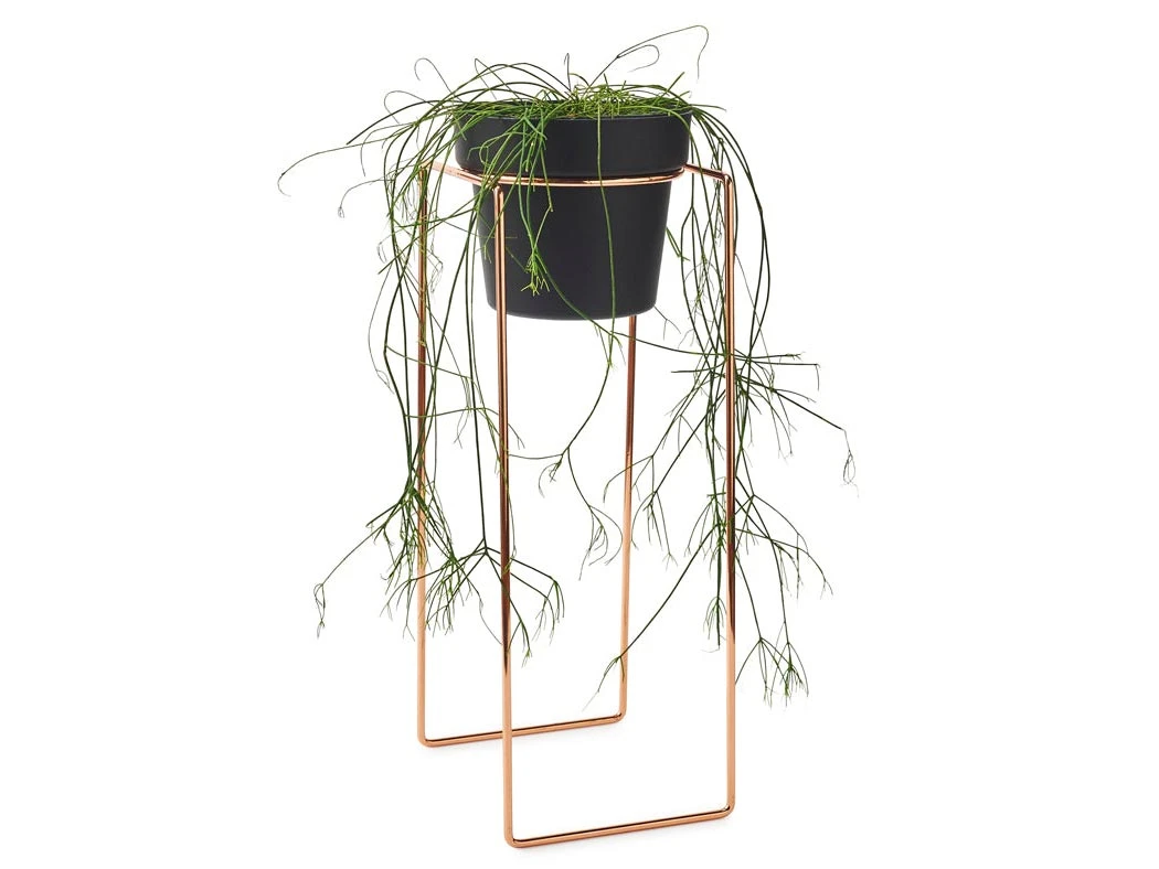 Bendo Plant Stakes & Stands 'TALL' Indoor Plant Stand & Medium Pot Bundle 8 Bendo Plant Stakes & Stands 'TALL' Indoor Plant Stand & Medium Pot Bundle