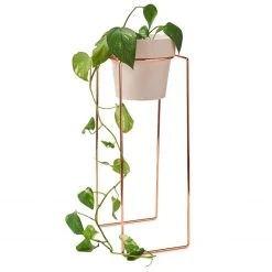 Bendo Plant Stakes & Stands 'TALL' Indoor Plant Stand & Medium Pot Bundle 20 Bendo Plant Stakes & Stands 'TALL' Indoor Plant Stand & Medium Pot Bundle