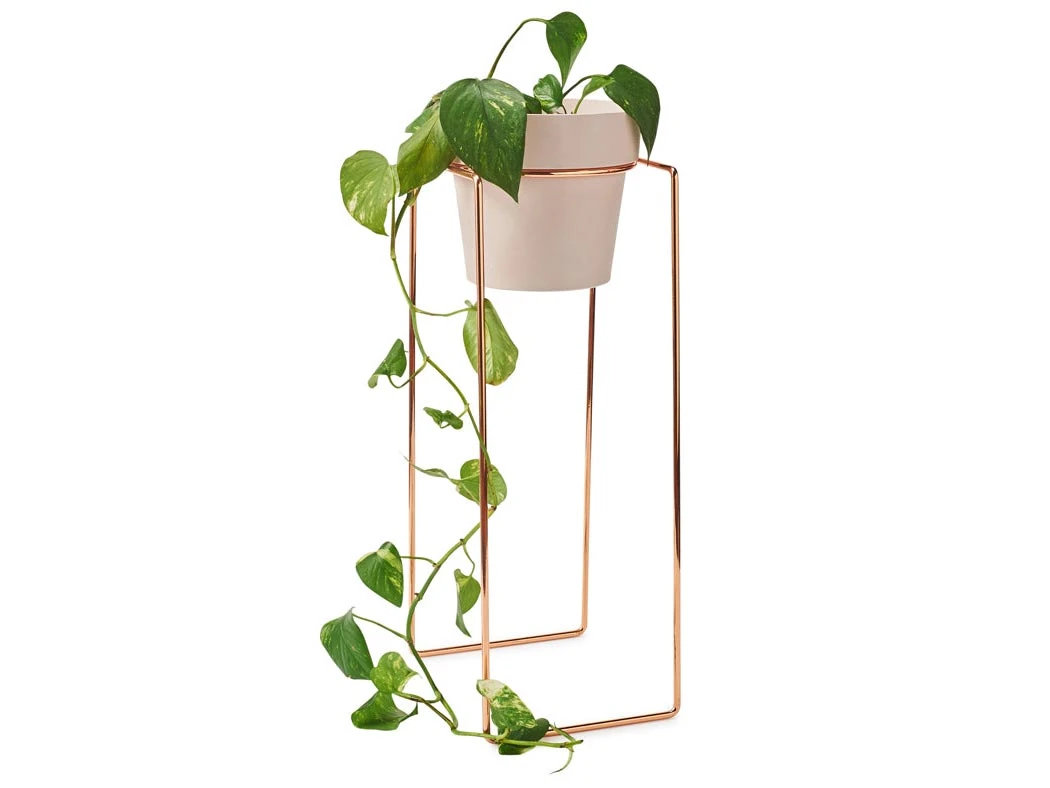 Bendo Plant Stakes & Stands 'TALL' Indoor Plant Stand & Medium Pot Bundle 9 Bendo Plant Stakes & Stands 'TALL' Indoor Plant Stand & Medium Pot Bundle