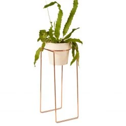 Bendo Plant Stakes & Stands 'TALL' Indoor Plant Stand & Medium Pot Bundle 21 Bendo Plant Stakes & Stands 'TALL' Indoor Plant Stand & Medium Pot Bundle