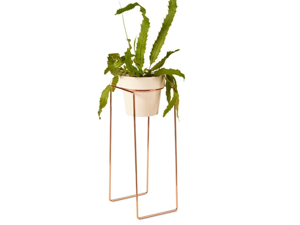 Bendo Plant Stakes & Stands 'TALL' Indoor Plant Stand & Medium Pot Bundle 10 Bendo Plant Stakes & Stands 'TALL' Indoor Plant Stand & Medium Pot Bundle