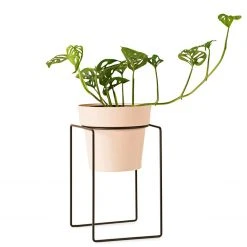 Bendo 'SHRUB' Plant Stand Mini & Small Pot Bundle Pots & Hanging Baskets