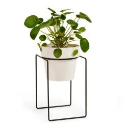 Bendo 'SHRUB' Plant Stand Mini & Small Pot Bundle Pots & Hanging Baskets