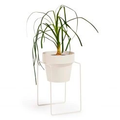 Bendo 'SHRUB' Plant Stand Mini & Small Pot Bundle Pots & Hanging Baskets
